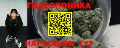 Альфа ПВП Кингисепп